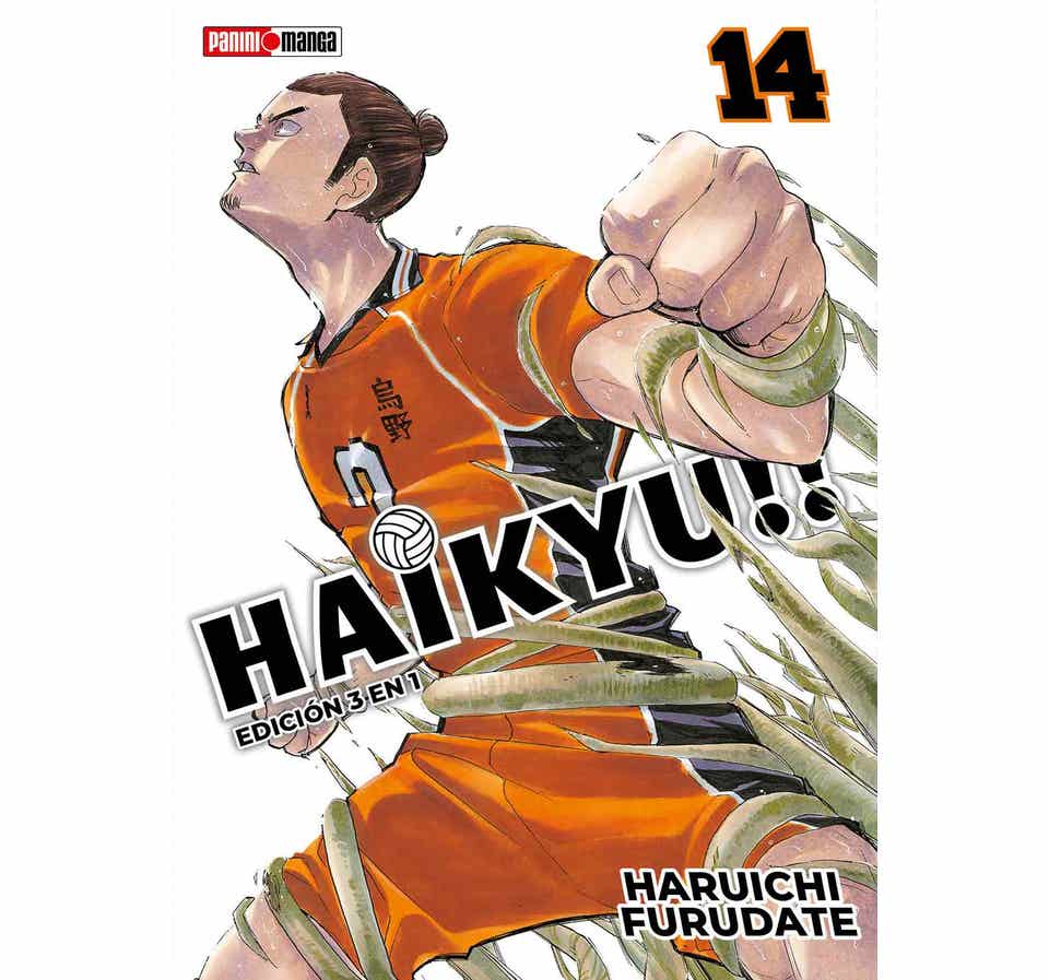 HAIKYUI 14