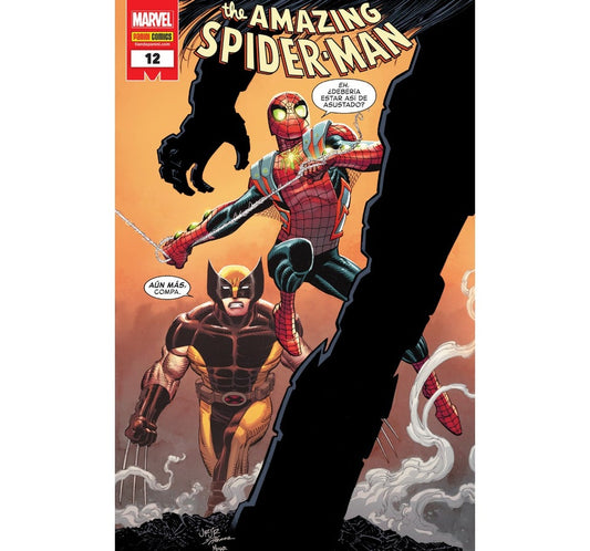 THE AMAZING SPIDERMAN 12
