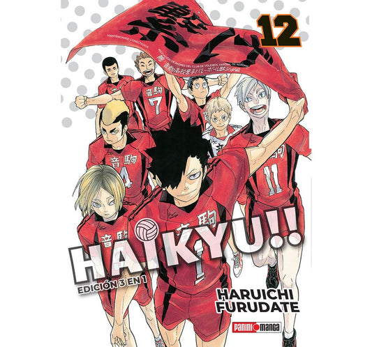 HAIKYUI 12